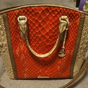 Brahmin Candy Apple Tote  Bag